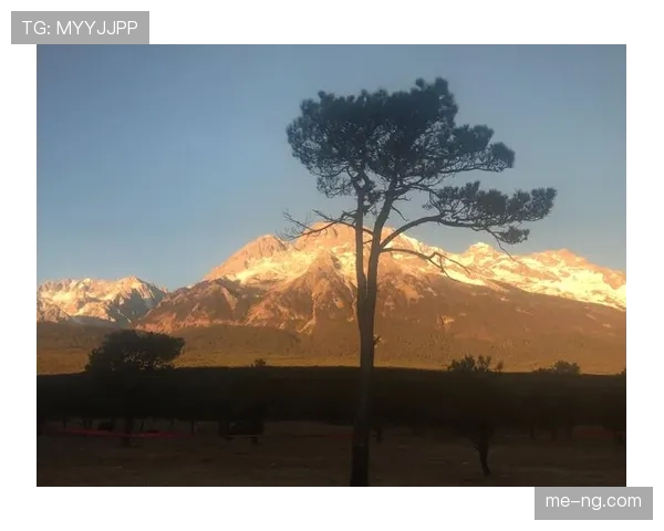 莱万今天的鞋子又闪瞎，普通人这脚步能走到哪里啊？